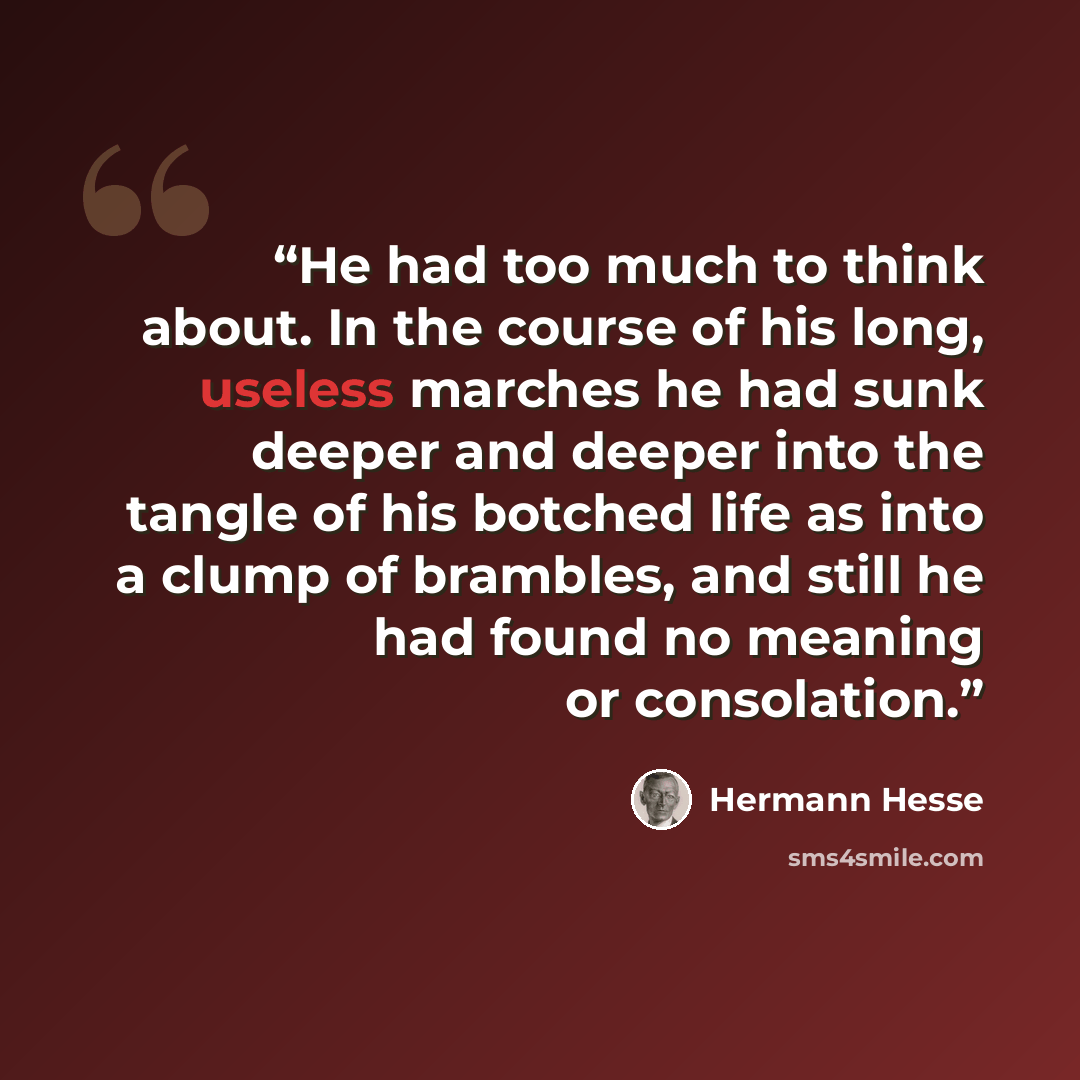 “He had too much to think about. In the course of his long, useless marches he had sunk deeper and deeper into the tangle of his botched life as into a clump of brambles, and still he had found no meaning or consolation.” quote by Hermann Hesse