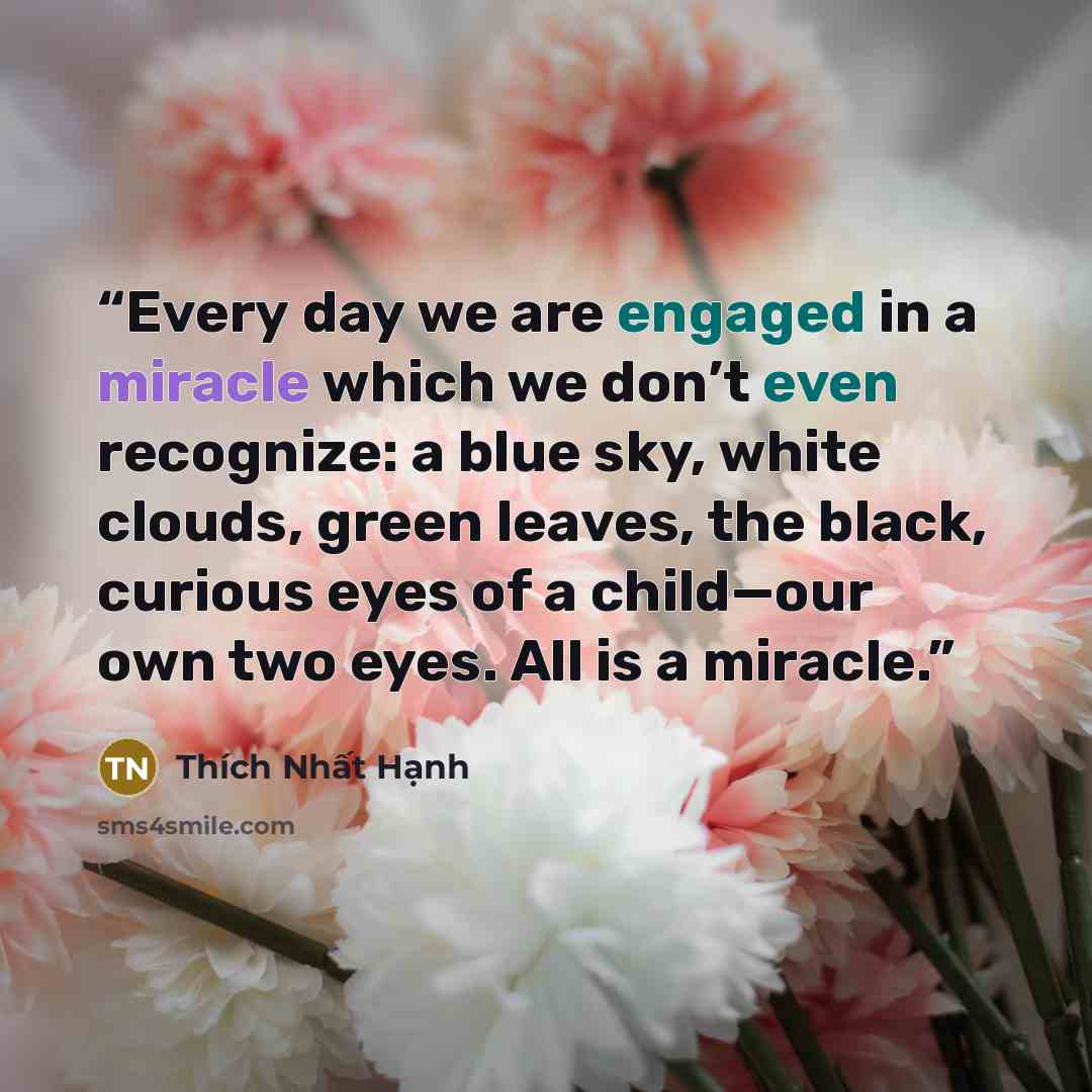“Every day we are engaged in a miracle which we don’t even recognize: a blue sky, white clouds, green leaves, the black, curious eyes of a child—our own two eyes. All is a miracle.” quote by Thich Nhat Hanh