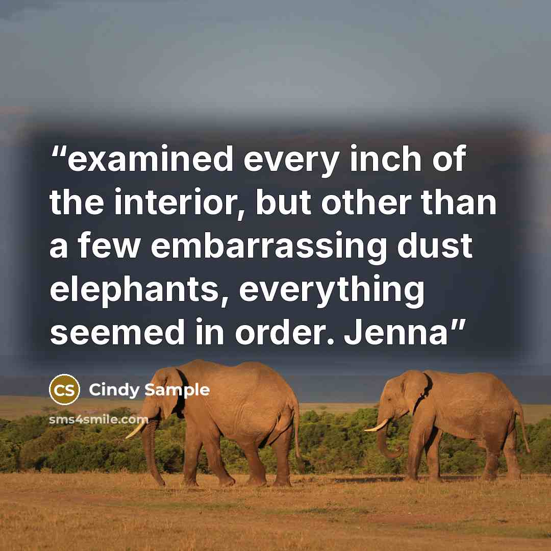 “examined every inch of the interior, but other than a few embarrassing dust elephants, everything seemed in order. Jenna” quote by Cindy Sample