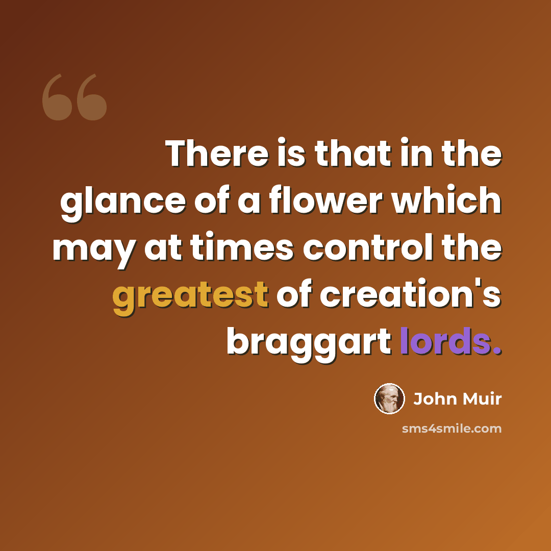 “There is that in the glance of a flower which may at times control the greatest of creation's braggart lords.” quote by John Muir