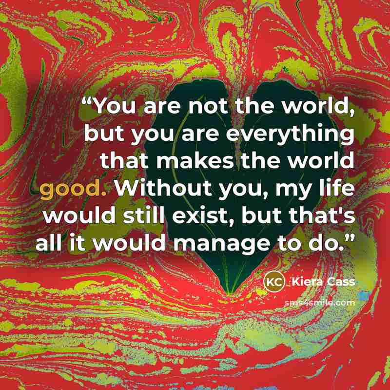 “You are not the world, but you are everything that makes the world good. Without you, my life would still exist, but that's all it would manage to do.” quote by Kiera Cass