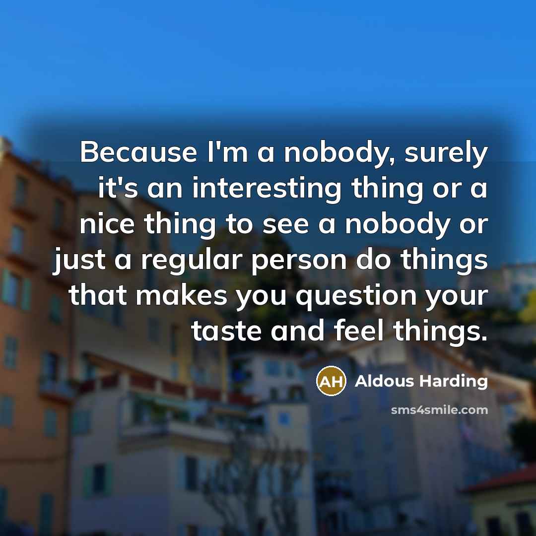 “Because I'm a nobody, surely it's an interesting thing or a nice thing to see a nobody or just a regular person do things that makes you question your taste and feel things.” quote by Aldous Harding