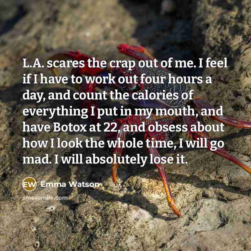 “L.A. scares the crap out of me. I feel if I have to work out four hours a day, and count the calories of everything I put in my mouth, and have Botox at 22, and obsess about how I look the whole time, I will go mad. I will absolutely lose it.” quote by Emma Watson