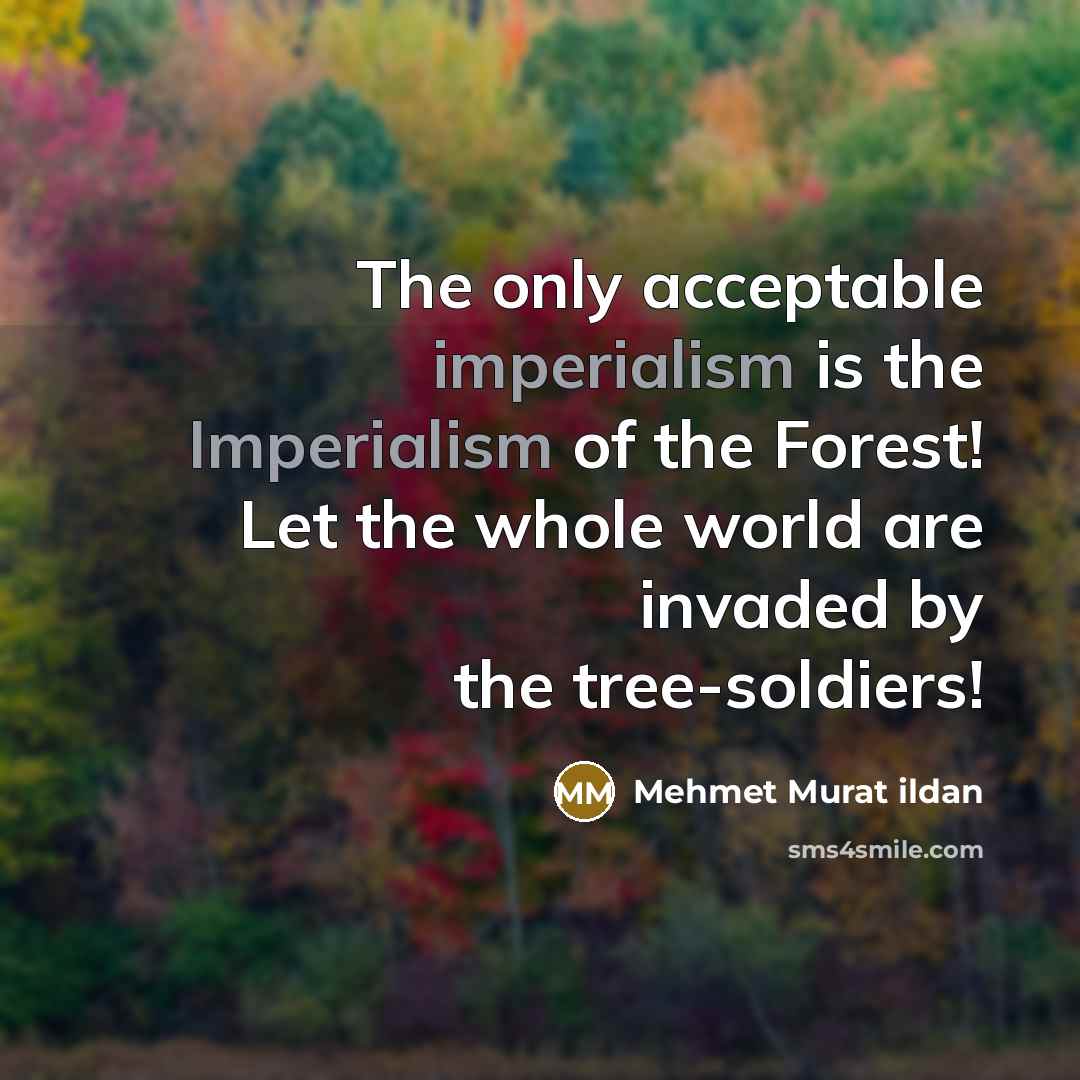“The only acceptable imperialism is the Imperialism of the Forest! Let the whole world are invaded by the tree-soldiers!” quote by Mehmet Murat Ildan