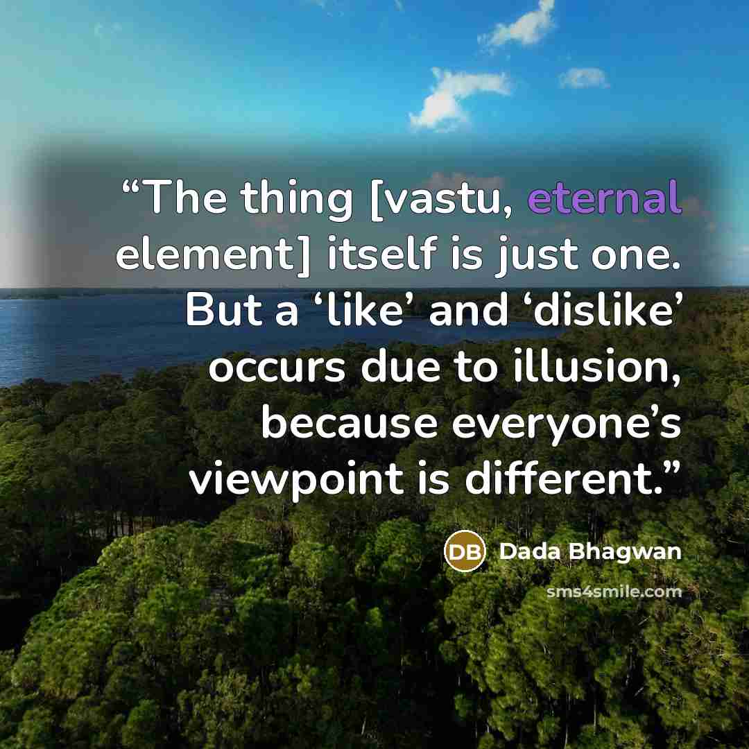 “The thing [vastu, eternal element] itself is just one. But a ‘like’ and ‘dislike’ occurs due to illusion, because everyone’s viewpoint is different.” quote by Dada Bhagwan