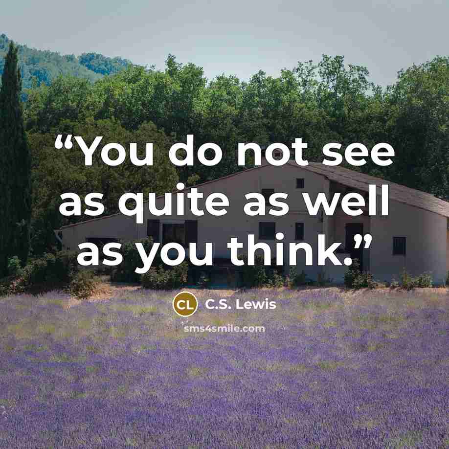 “You do not see as quite as well as you think.” quote by C.S. Lewis
