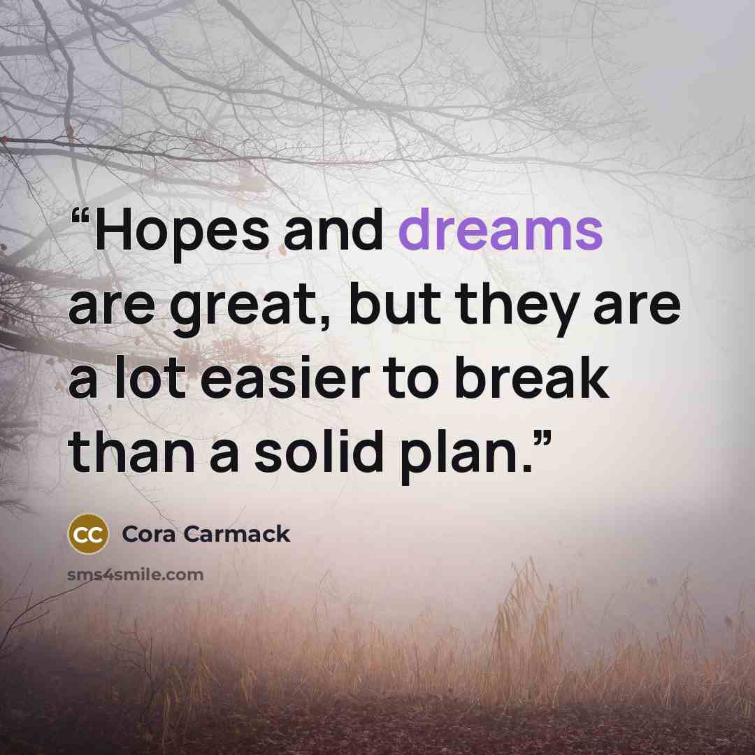 “Hopes and dreams are great, but they are a lot easier to break than a solid plan.” quote by Cora Carmack