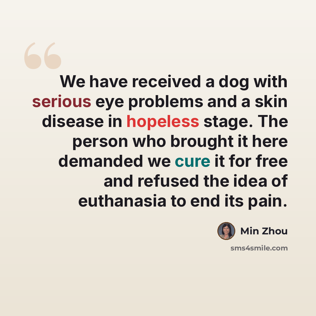 “We have received a dog with serious eye problems and a skin disease in hopeless stage. The person who brought it here demanded we cure it for free and refused the idea of euthanasia to end its pain.” quote by Min Zhou