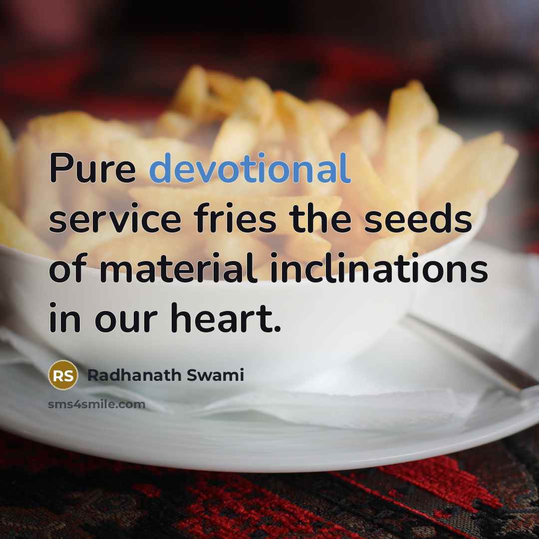 “Pure devotional service fries the seeds of material inclinations in our heart.” quote by Radhanath Swami