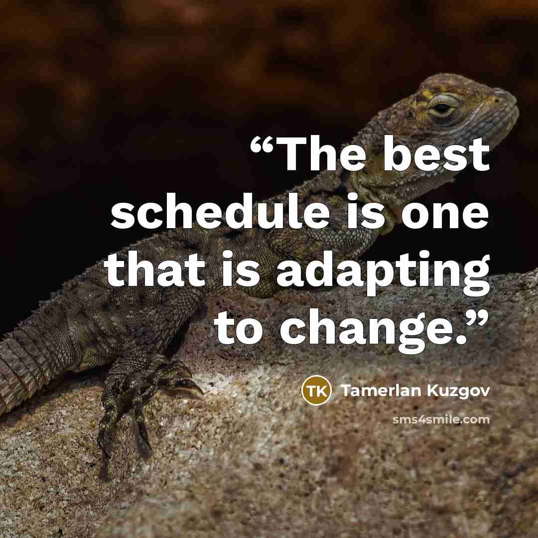 “The best schedule is one that is adapting to change.” quote by Tamerlan Kuzgov