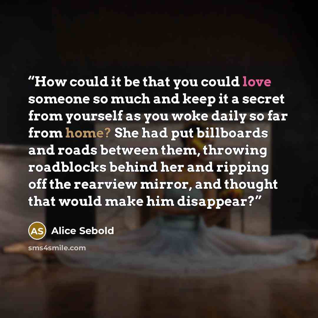 “How could it be that you could love someone so much and keep it a secret from yourself as you woke daily so far from home? She had put billboards and roads between them, throwing roadblocks behind her and ripping off the rearview mirror, and thought that would make him disappear?” quote by Alice Sebold