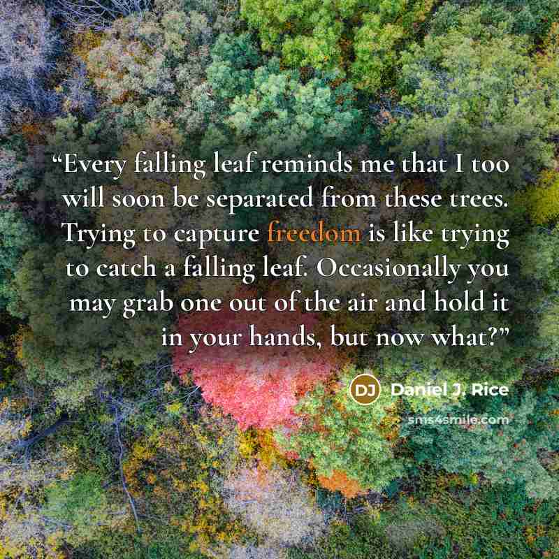 “Every falling leaf reminds me that I too will soon be separated from these trees. Trying to capture freedom is like trying to catch a falling leaf. Occasionally you may grab one out of the air and hold it in your hands, but now what?” quote by Daniel J. Rice