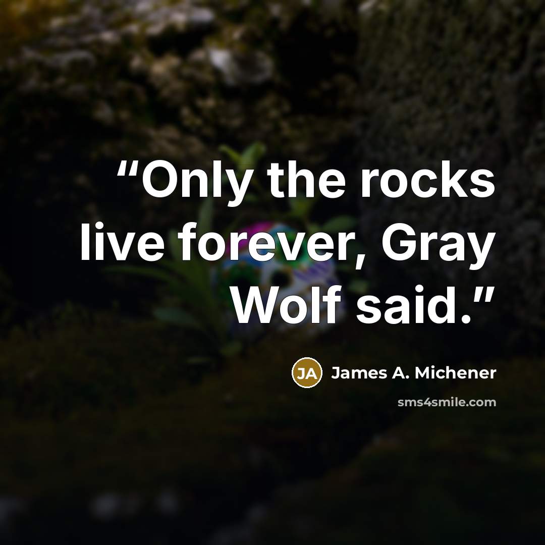 “Only the rocks live forever, Gray Wolf said.” quote by James A. Michener