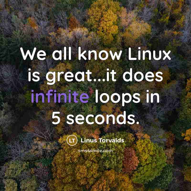 “We all know Linux is great...it does infinite loops in 5 seconds.” quote by Linus Torvalds