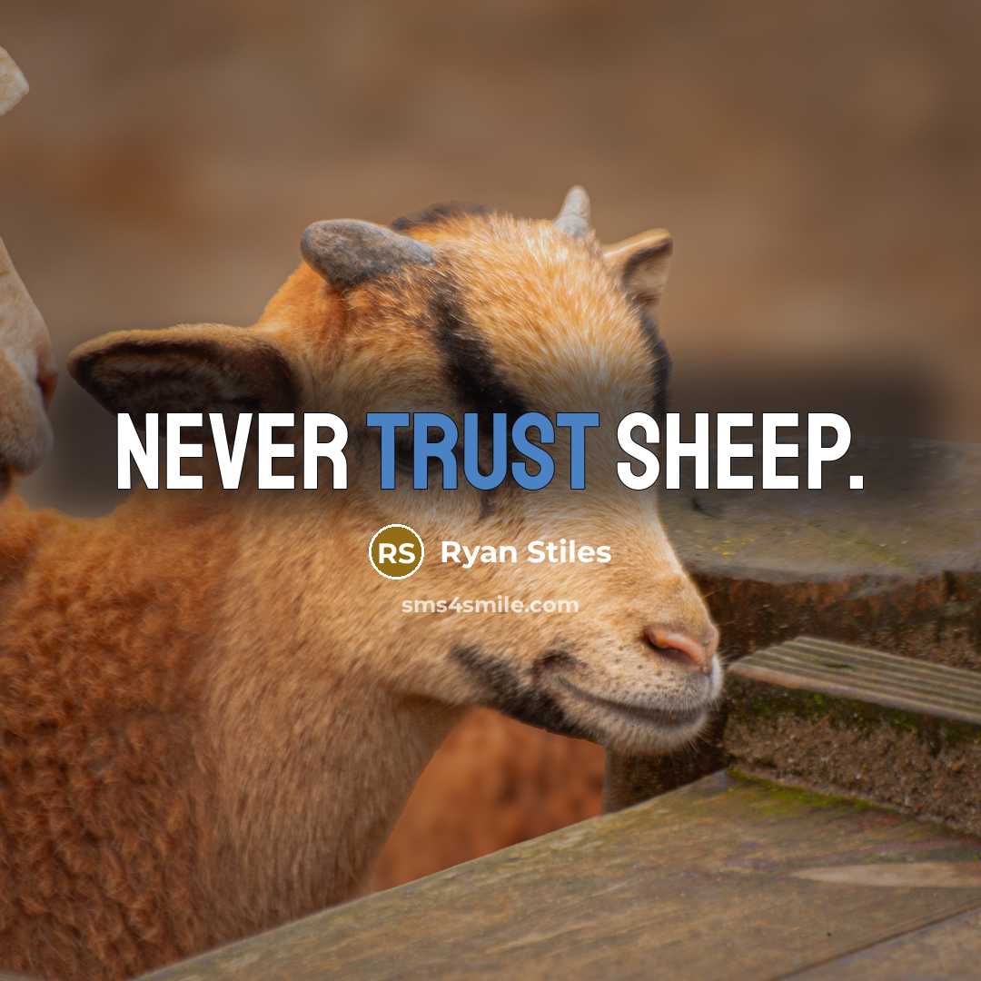 “Never trust sheep.” quote by Ryan Stiles