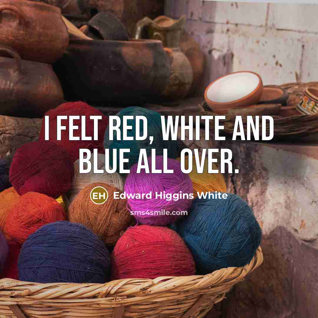 “I felt red, white and blue all over.” quote by Edward Higgins White
