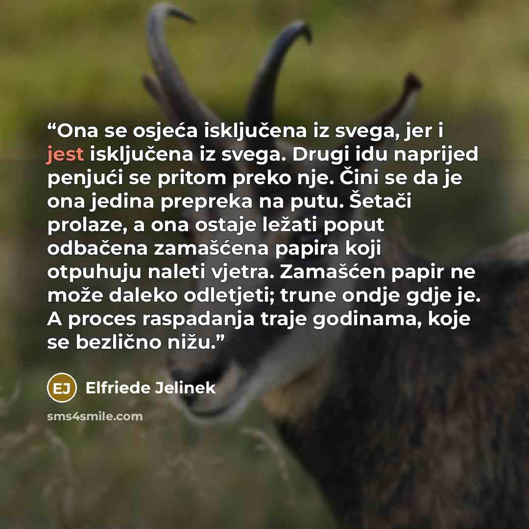 “Ona se osjeća isključena iz svega, jer i jest isključena iz svega. Drugi idu naprijed penjući se pritom preko nje. Čini se da je ona jedina prepreka na putu. Šetači prolaze, a ona ostaje ležati poput odbačena zamašćena papira koji otpuhuju naleti vjetra. Zamašćen papir ne može daleko odletjeti…” quote by Elfriede Jelinek
