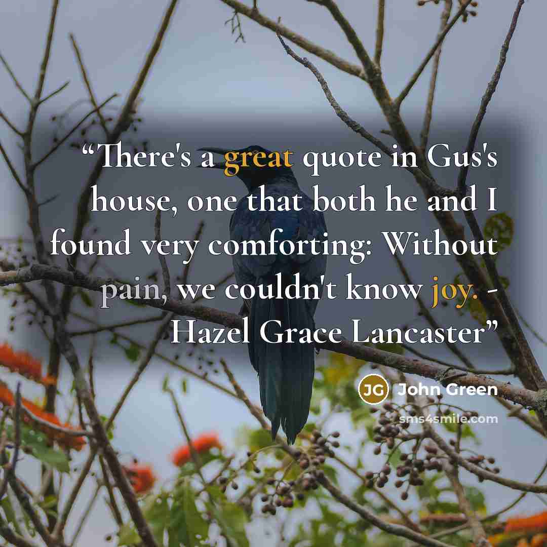 “There's a great quote in Gus's house, one that both he and I found very comforting: Without pain, we couldn't know joy. - Hazel Grace Lancaster” quote by John Green