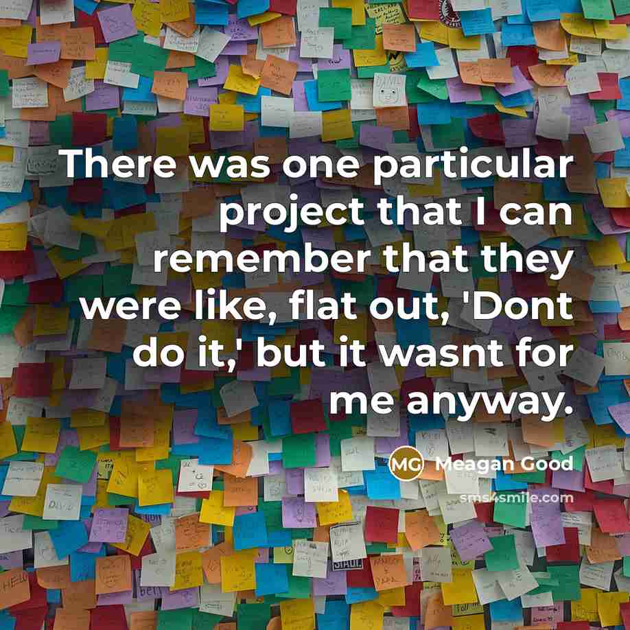 “There was one particular project that I can remember that they were like, flat out, 'Dont do it,' but it wasnt for me anyway.” quote by Meagan Good
