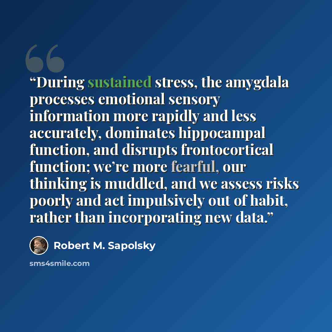“During sustained stress, the amygdala processes emotional sensory information more rapidly and less accurately, dominates hippocampal function, and disrupts frontocortical function; we’re more fearful, our thinking is muddled, and we assess risks poorly and act impulsively out of habit, rather…” quote by Robert M. Sapolsky