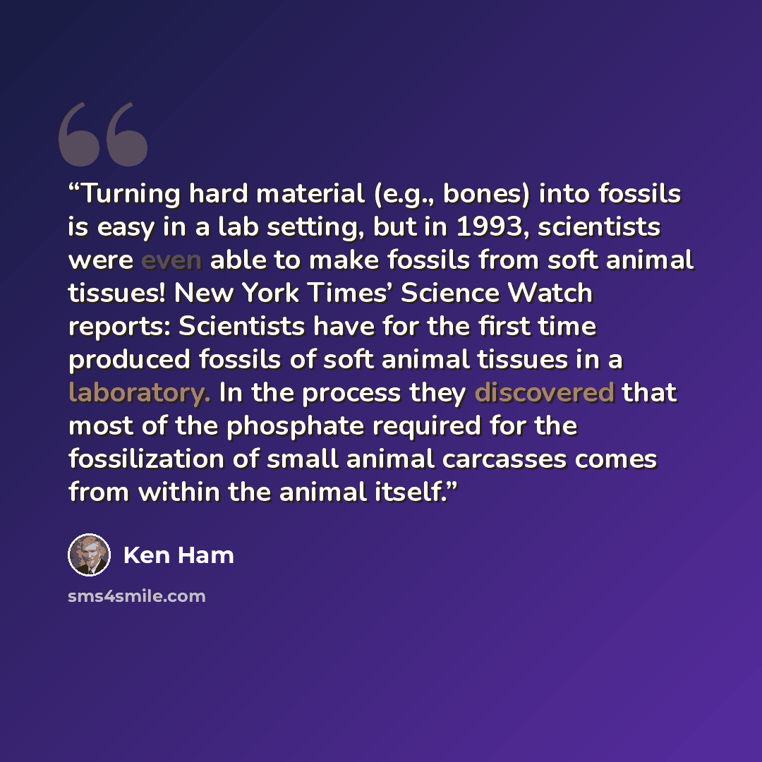“Turning hard material (e.g., bones) into fossils is easy in a lab setting, but in 1993, scientists were even able to make fossils from soft animal tissues! New York Times’ Science Watch reports: Scientists have for the first time produced fossils of soft animal tissues in a laboratory. In the…” quote by Ken Ham