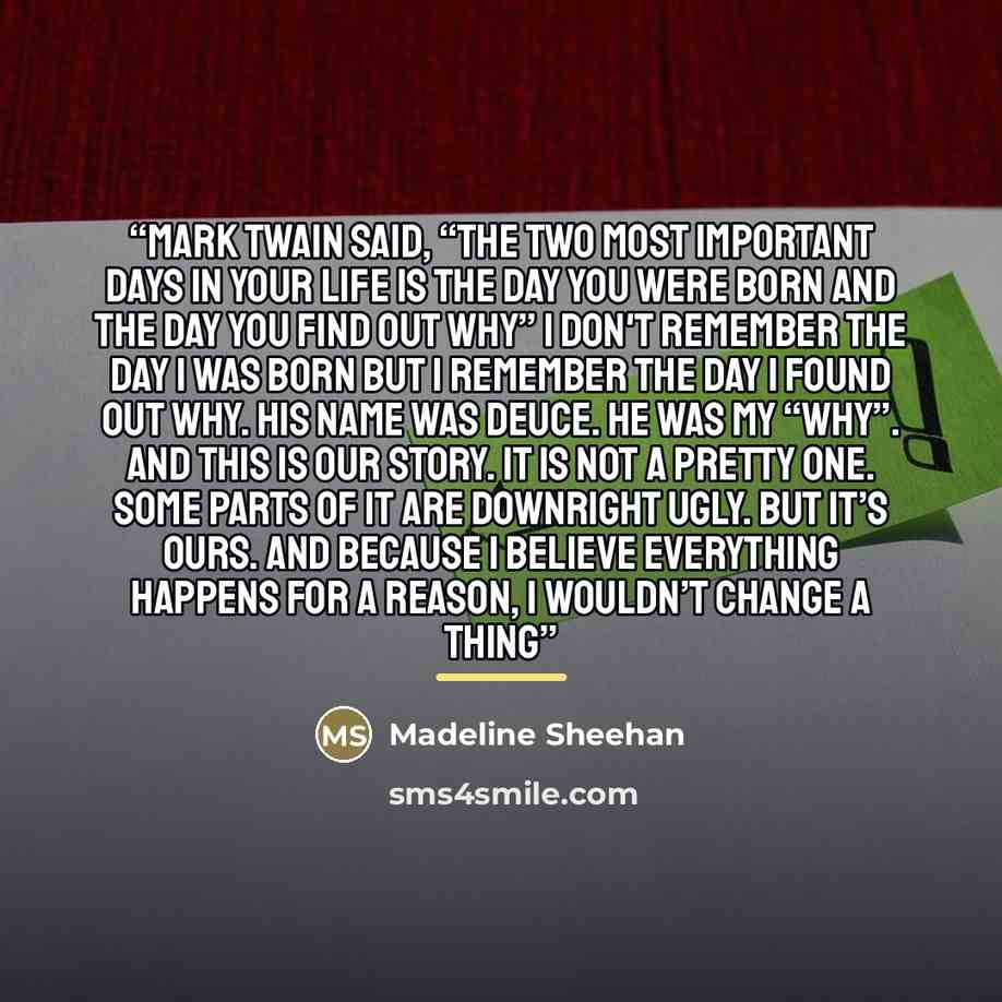 “Mark Twain said, “The two most important days in your life is the day you were born and the day you find out why” I don't remember the day I was born but I remember the day I found out why. His name was Deuce. He was my “why”. And this is our story. It is not a pretty one. Some parts of it are…” quote by Madeline Sheehan