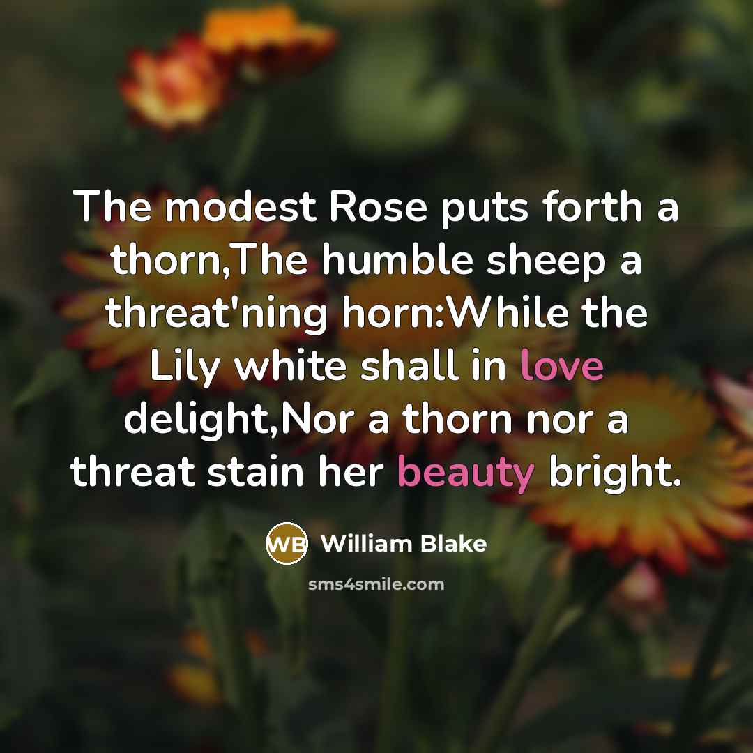 “The modest Rose puts forth a thorn,The humble sheep a threat'ning horn:While the Lily white shall in love delight,Nor a thorn nor a threat stain her beauty bright.” quote by William Blake