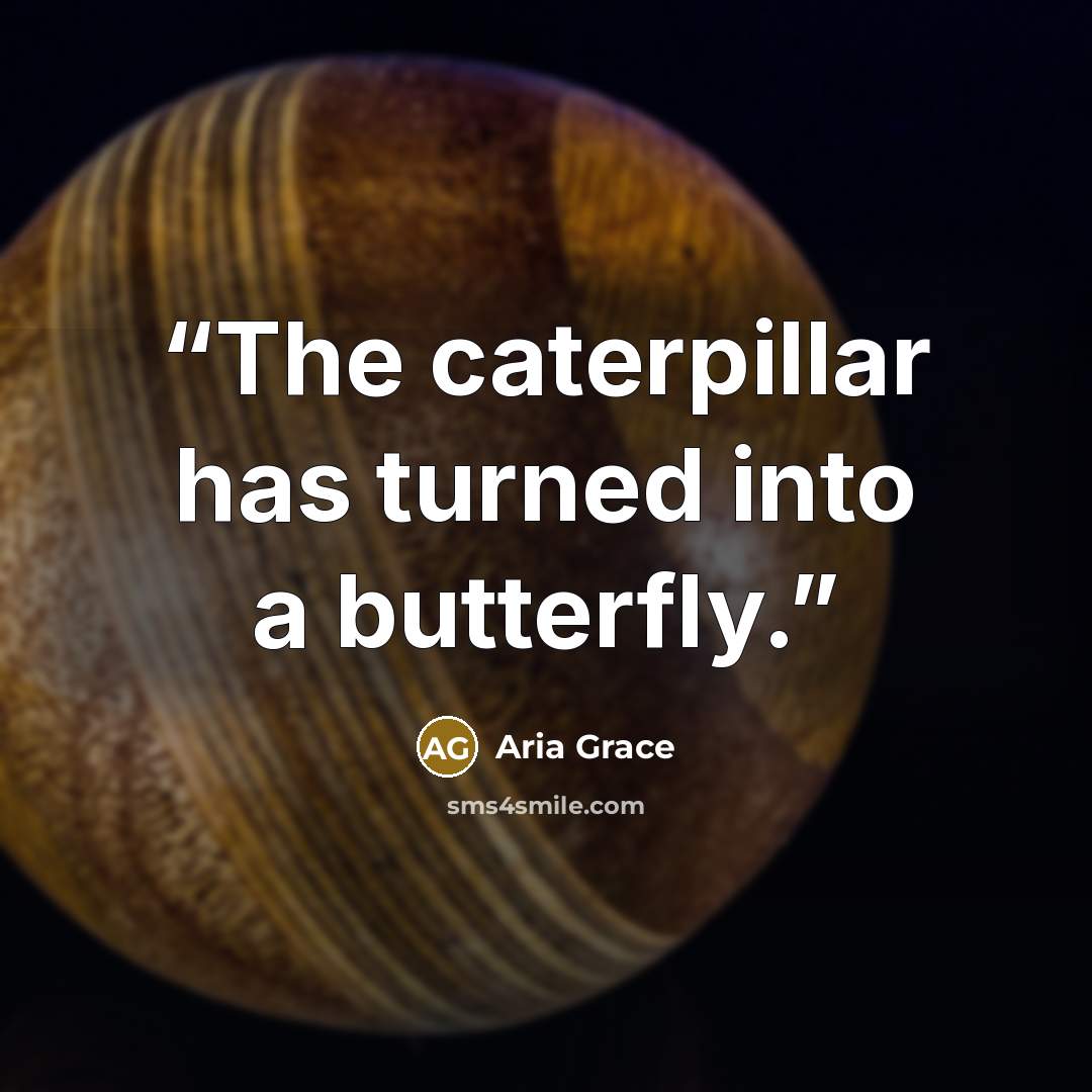 “The caterpillar has turned into a butterfly.” quote by Aria Grace