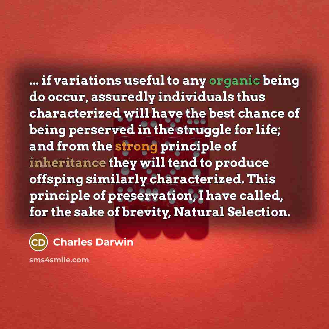 “... if variations useful to any organic being do occur, assuredly individuals thus characterized will have the best chance of being perserved in the struggle for life; and from the strong principle of inheritance they will tend to produce offsping similarly characterized. This principle of…” quote by Charles Darwin