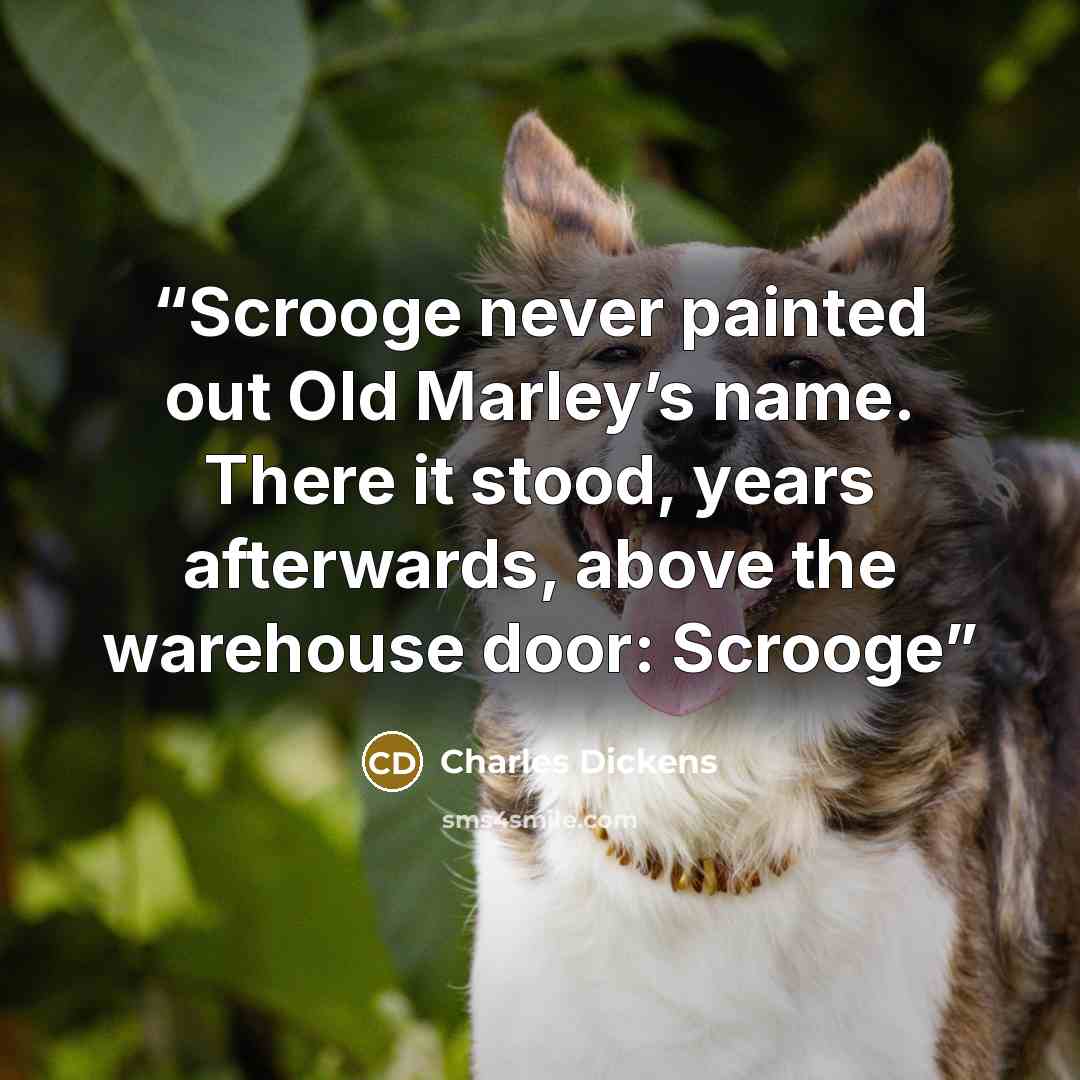“Scrooge never painted out Old Marley’s name. There it stood, years afterwards, above the warehouse door: Scrooge” quote by Charles Dickens