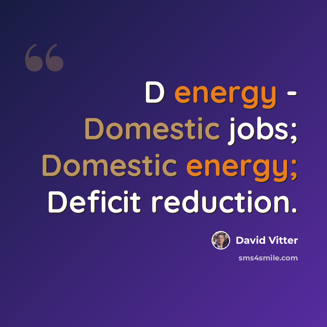 “D energy - Domestic jobs; Domestic energy; Deficit reduction.” quote by David Vitter