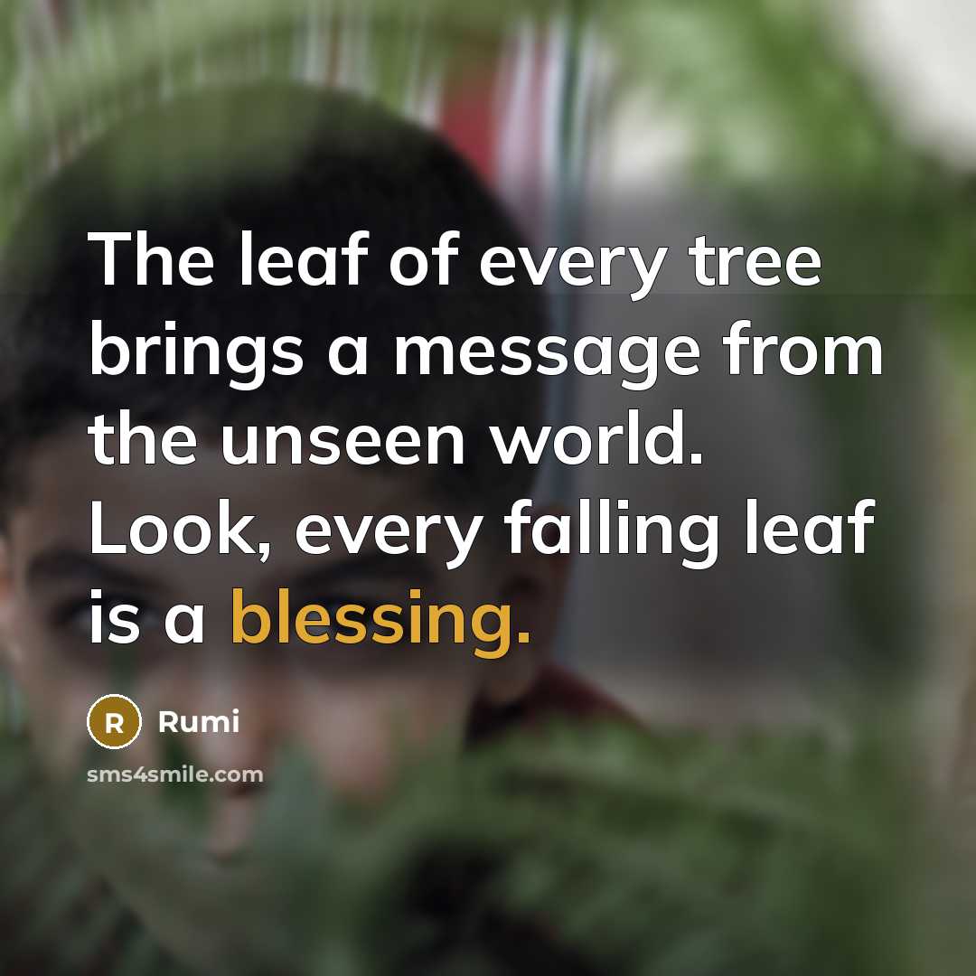 “The leaf of every tree brings a message from the unseen world. Look, every falling leaf is a blessing.” quote by Rumi