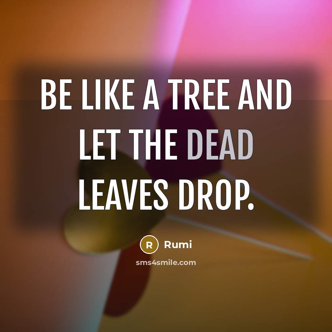 “Be like a tree and let the dead leaves drop.” quote by Rumi