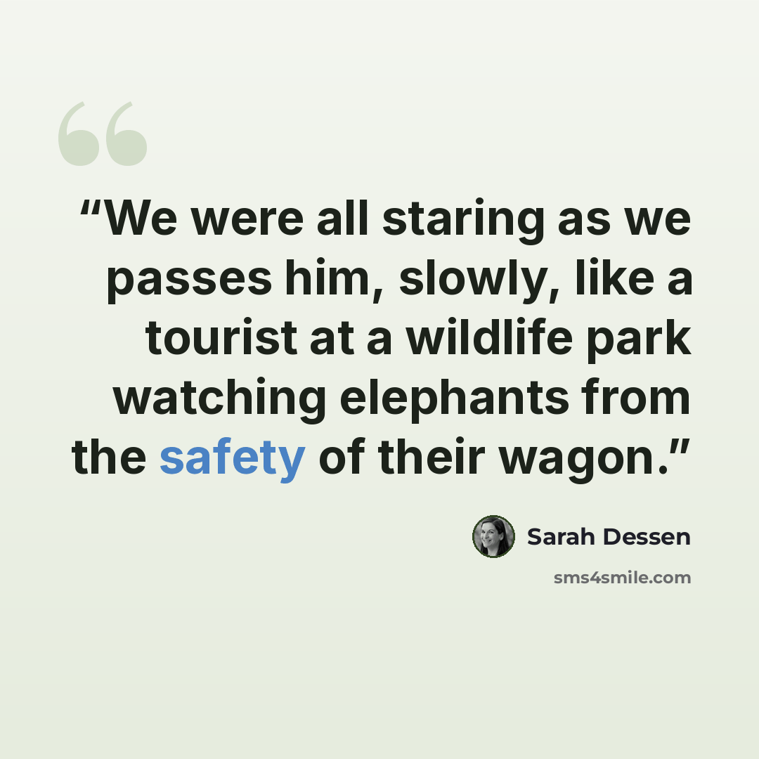 “We were all staring as we passes him, slowly, like a tourist at a wildlife park watching elephants from the safety of their wagon.” quote by Sarah Dessen