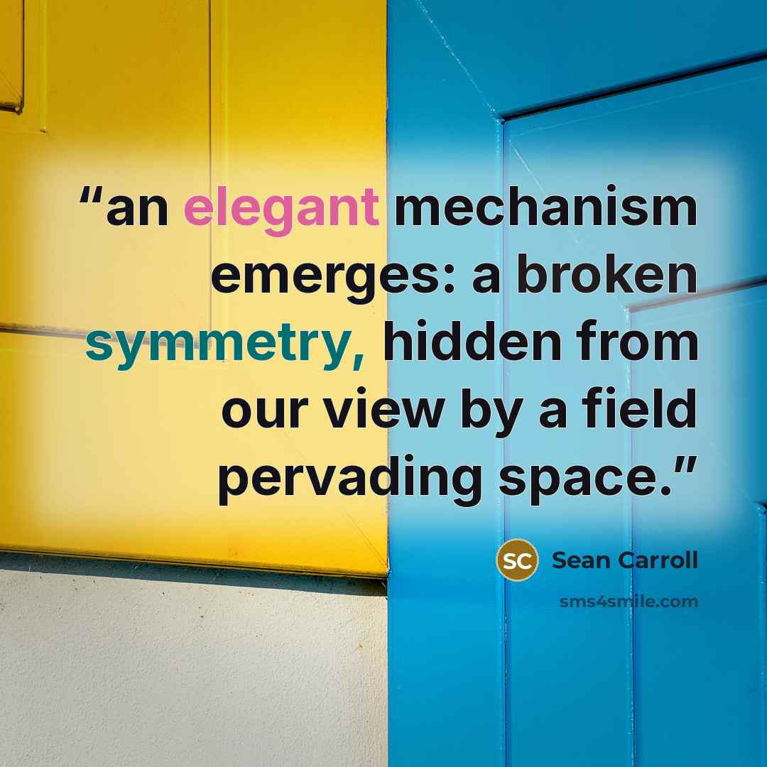 “an elegant mechanism emerges: a broken symmetry, hidden from our view by a field pervading space.” quote by Sean Carroll