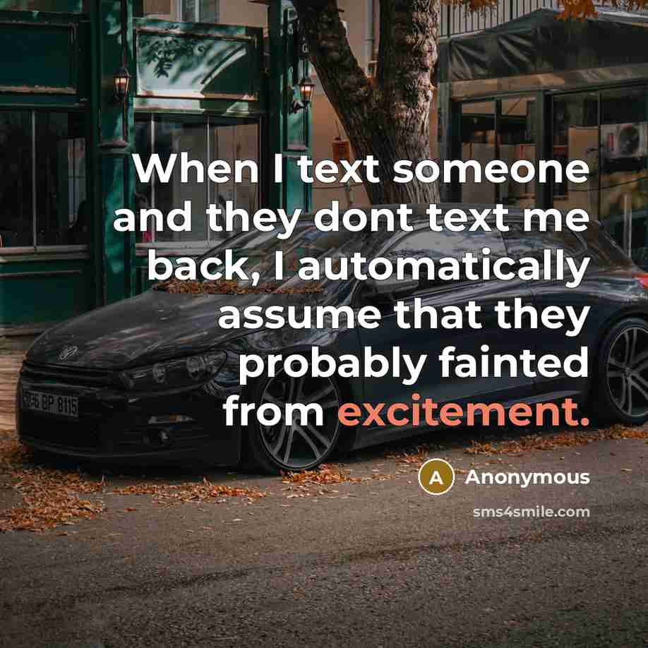 “When I text someone and they dont text me back, I automatically assume that they probably fainted from excitement.” quote by Anonymous
