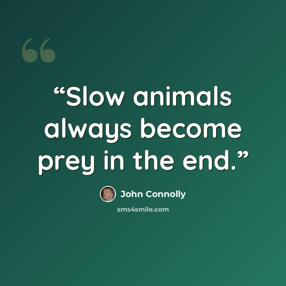 “Slow animals always become prey in the end.” quote by John Connolly