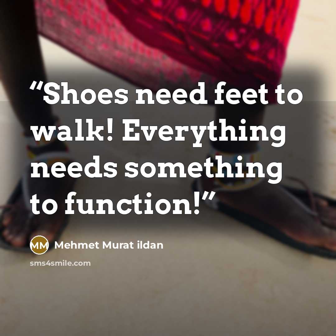 “Shoes need feet to walk! Everything needs something to function!” quote by Mehmet Murat ildan