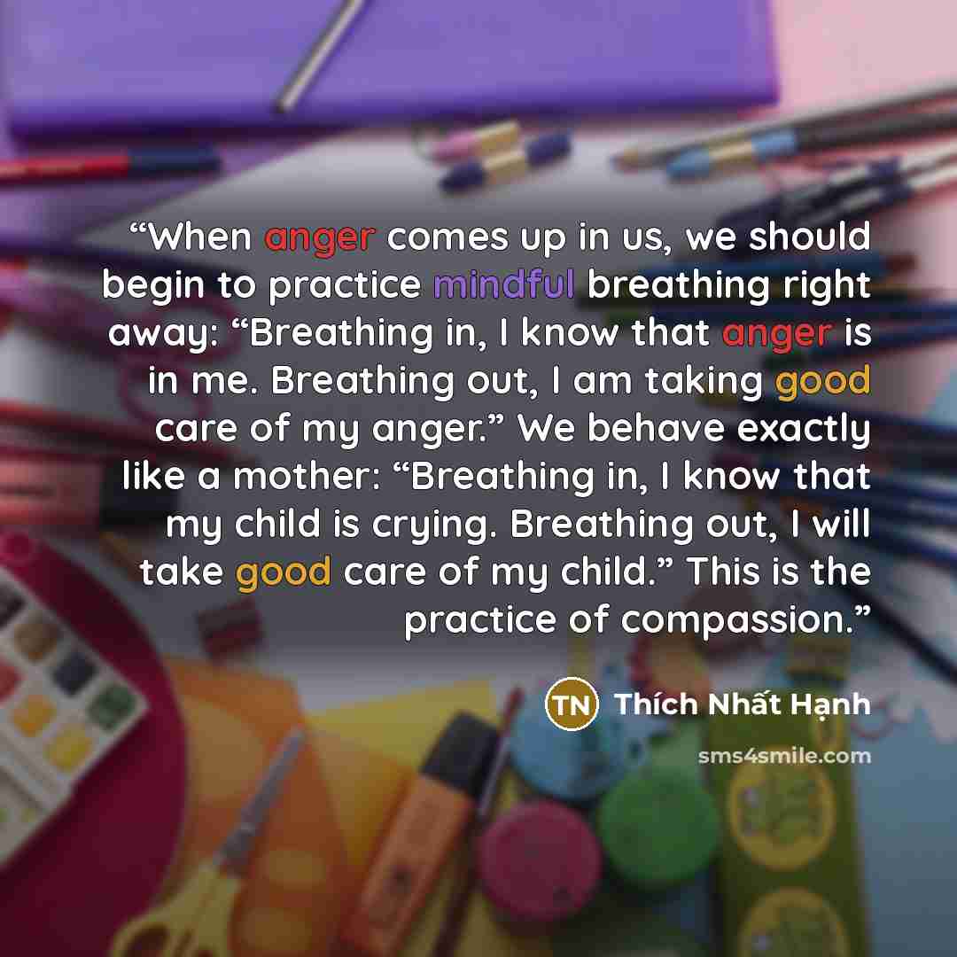 “When anger comes up in us, we should begin to practice mindful breathing right away: “Breathing in, I know that anger is in me. Breathing out, I am taking good care of my anger.” We behave exactly like a mother: “Breathing in, I know that my child is crying. Breathing out, I will take good care of…” quote by Thich Nhat Hanh