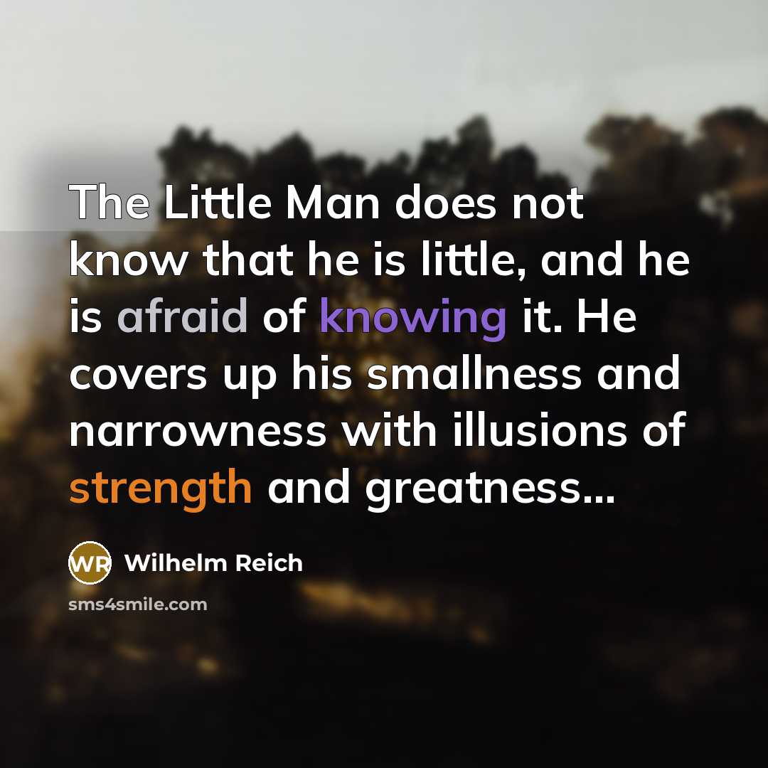 “The Little Man does not know that he is little, and he is afraid of knowing it. He covers up his smallness and narrowness with illusions of strength and greatness...” quote by Wilhelm Reich