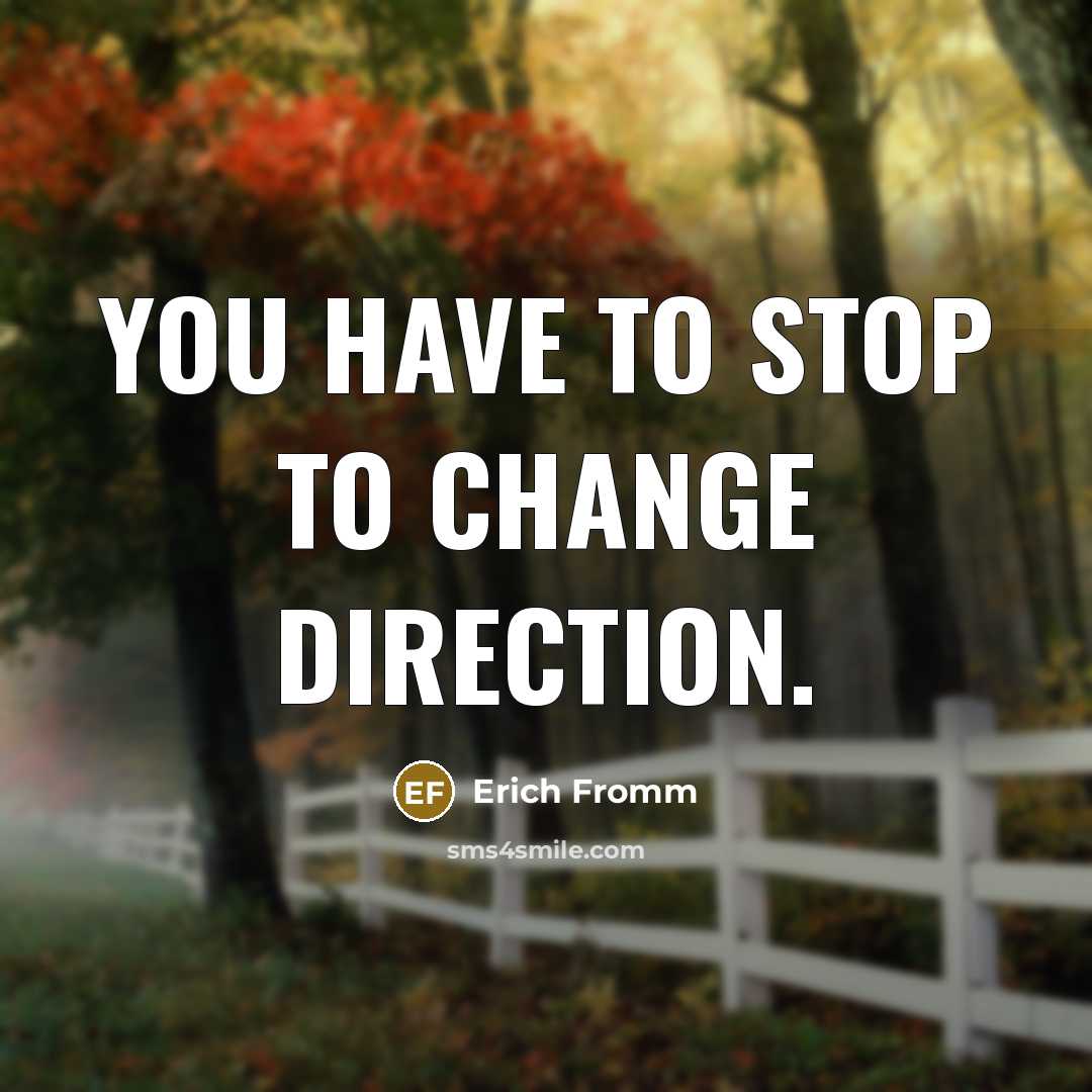 “You have to stop to change direction.” quote by Erich Fromm