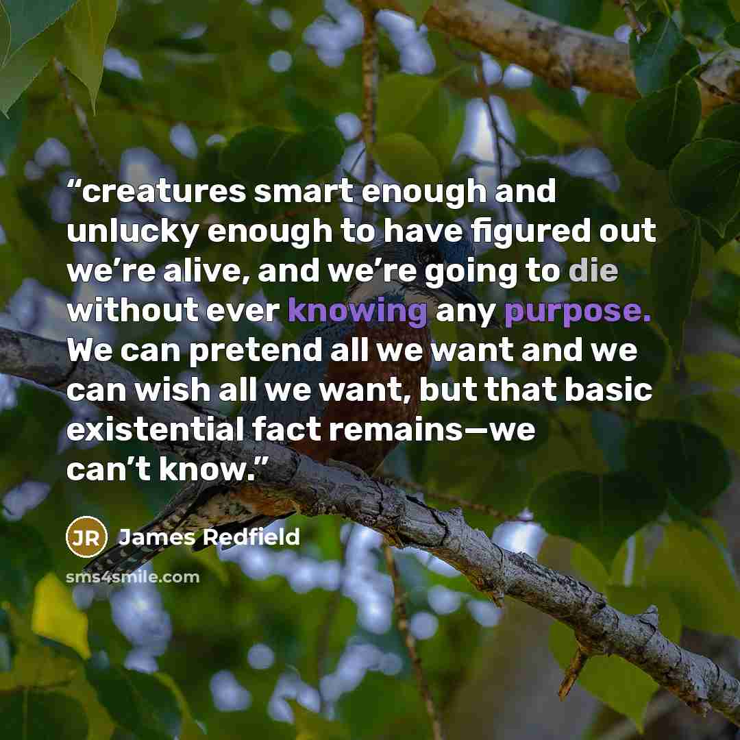 “creatures smart enough and unlucky enough to have figured out we’re alive, and we’re going to die without ever knowing any purpose. We can pretend all we want and we can wish all we want, but that basic existential fact remains—we can’t know.” quote by James Redfield