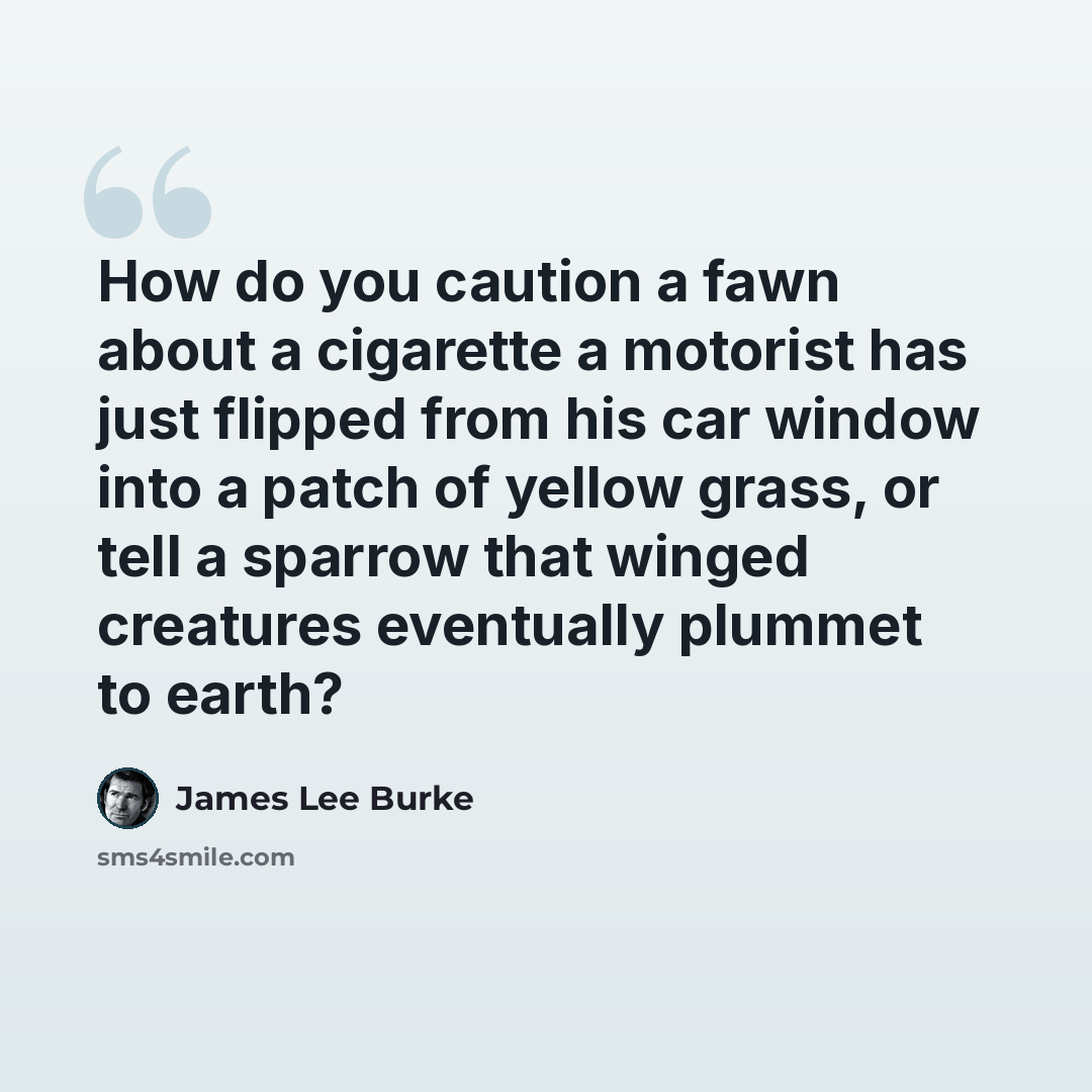 “How do you caution a fawn about a cigarette a motorist has just flipped from his car window into a patch of yellow grass, or tell a sparrow that winged creatures eventually plummet to earth?” quote by James Lee Burke