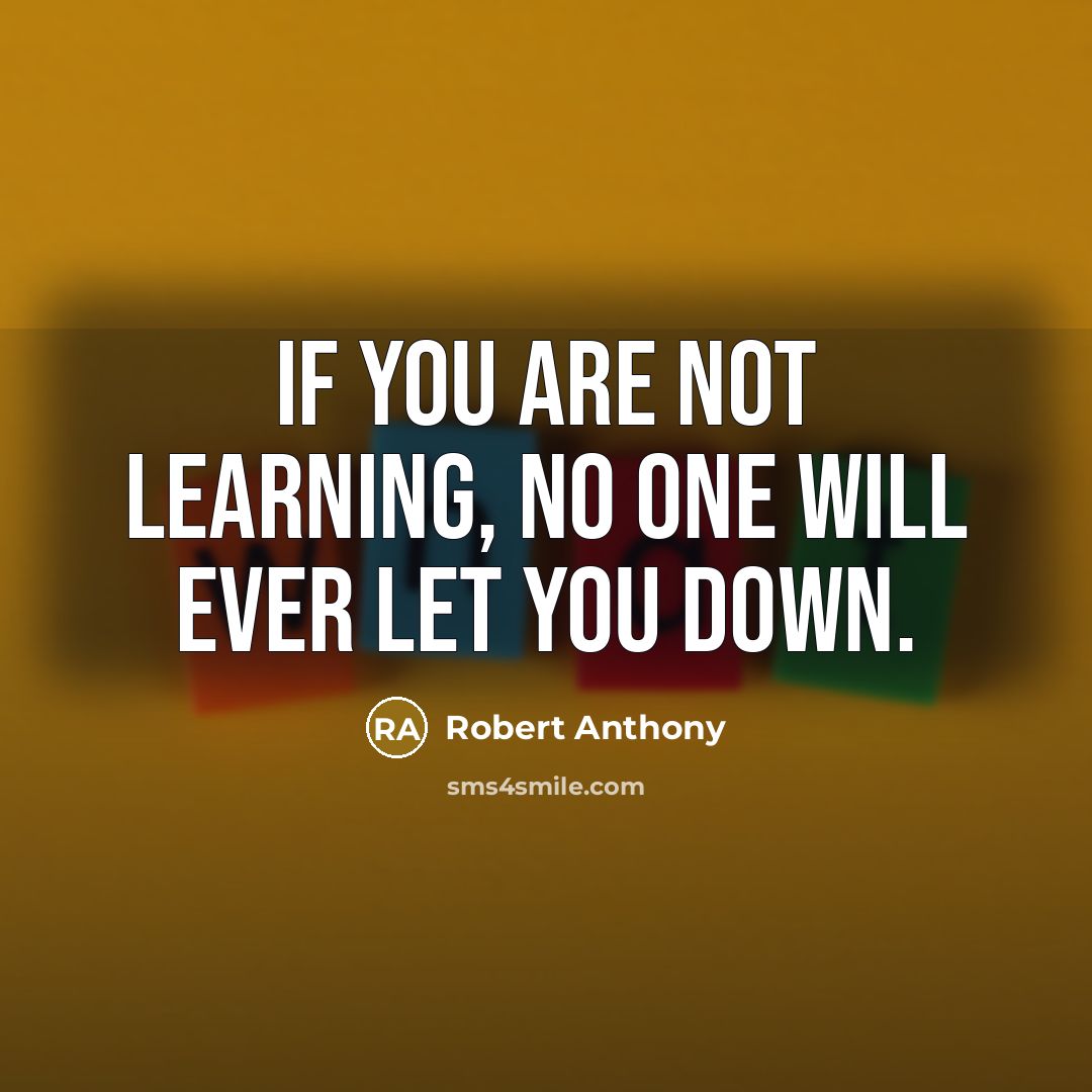 “If you are not learning, no one will ever let you down.” quote by Robert Anthony