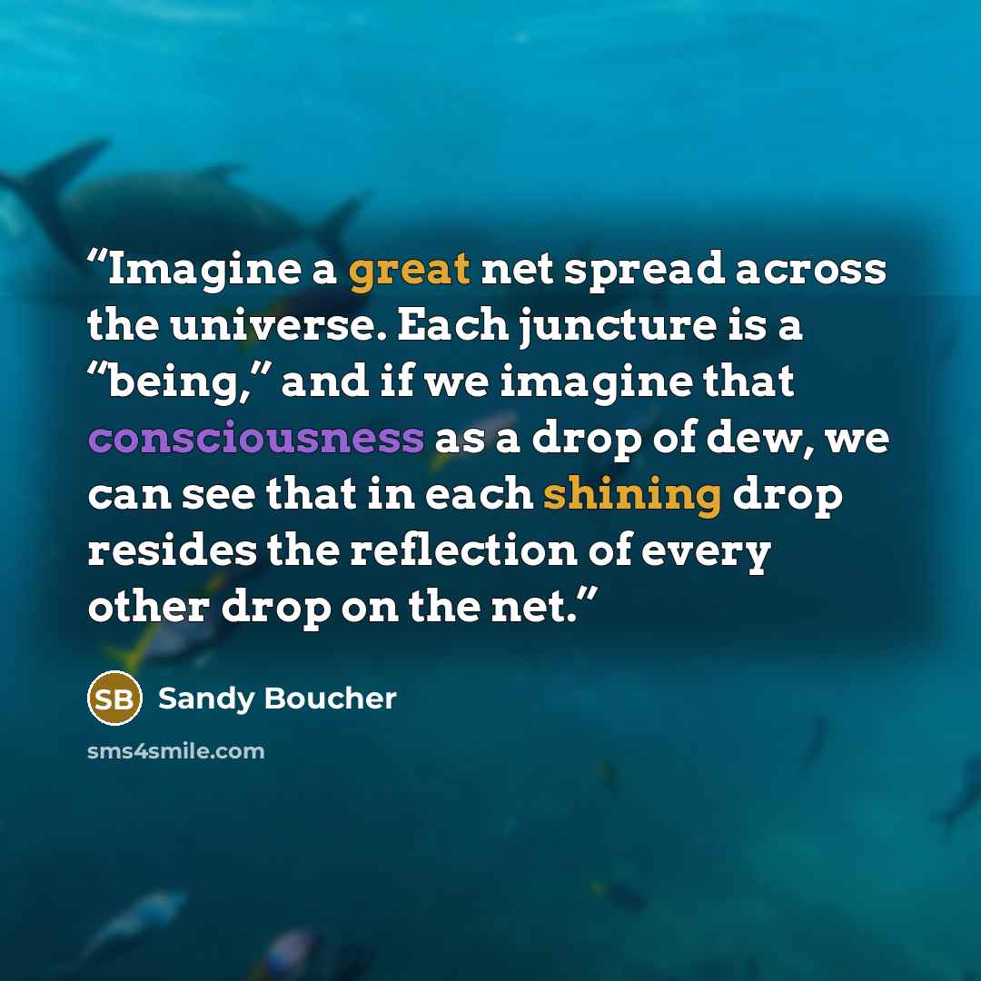 “Imagine a great net spread across the universe. Each juncture is a “being,” and if we imagine that consciousness as a drop of dew, we can see that in each shining drop resides the reflection of every other drop on the net.” quote by Sandy Boucher
