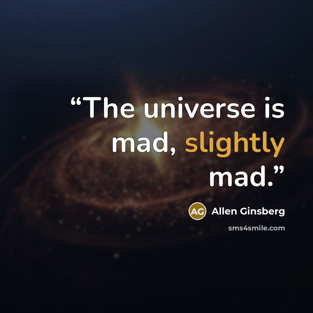 “The universe is mad, slightly mad.” quote by Allen Ginsberg