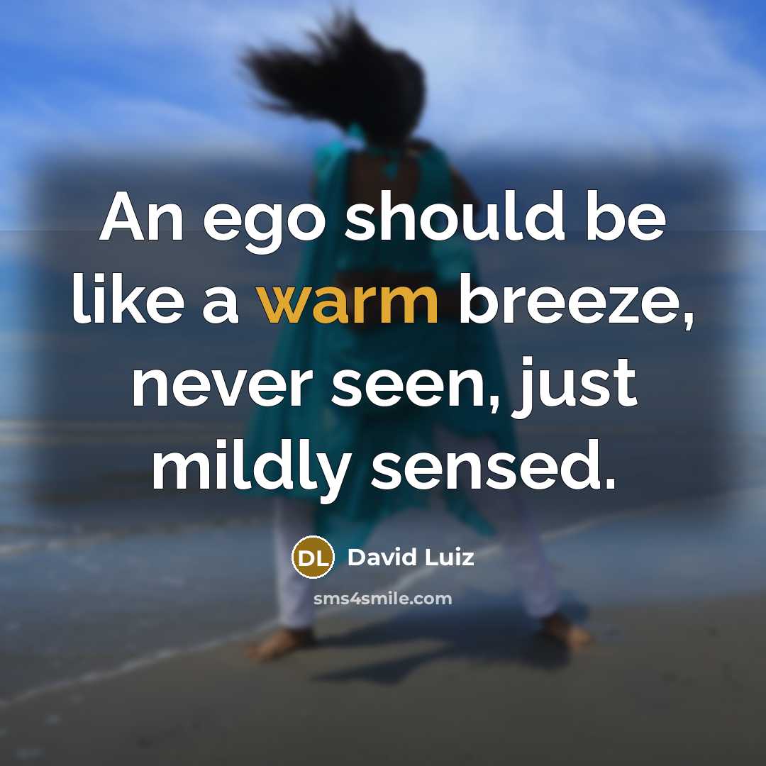 “An ego should be like a warm breeze, never seen, just mildly sensed.” quote by David Luiz
