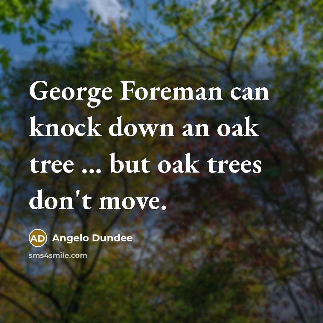 “George Foreman can knock down an oak tree ... but oak trees don't move.” quote by Angelo Dundee