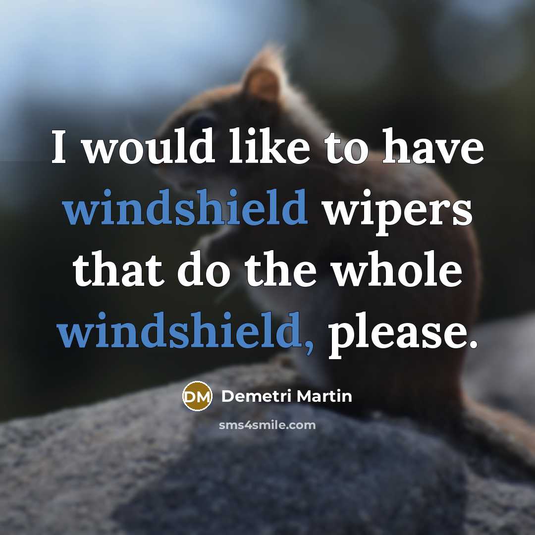 “I would like to have windshield wipers that do the whole windshield, please.” quote by Demetri Martin