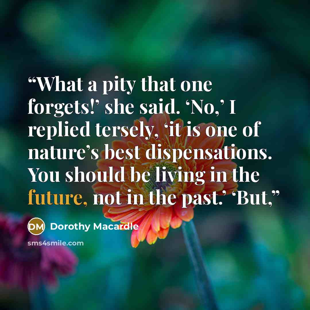 “What a pity that one forgets!’ she said. ‘No,’ I replied tersely, ‘it is one of nature’s best dispensations. You should be living in the future, not in the past.’ ‘But,” quote by Dorothy Macardle